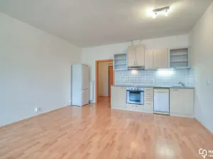 Pronájem bytu 1+kk, Olomouc, Na Tabulovém vrchu, 42 m2