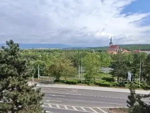 Prodej bytu 2+kk, Most, tř. Budovatelů, 36 m2