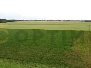 Prodej podílu pole, Tursko, 24693 m2