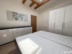 Pronájem bytu 3+1, Olomouc, Riegrova, 90 m2