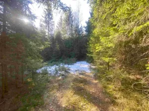Dražba pozemku, Železná Ruda, 1644 m2