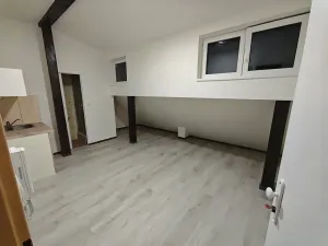 Pronájem bytu 1+kk, Praha - Hlubočepy, Na Zlíchově, 18 m2