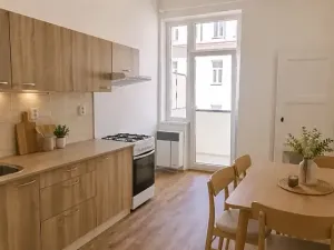 Pronájem bytu 1+1, Brno, Rybníček, 54 m2