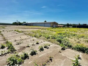 Prodej komerčního pozemku, Litomyšl, Sokolovská, 15000 m2
