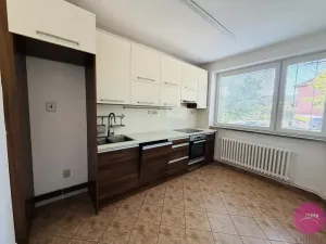 Pronájem bytu 3+1, Dolany, 98 m2
