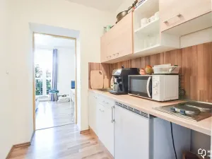 Pronájem bytu 1+kk, Olomouc, Schweitzerova, 24 m2