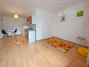 Pronájem bytu 1+kk, České Budějovice, Jírovcova, 28 m2