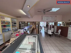 Pronájem komerční nemovitosti, Bučovice, Slavkovská, 101 m2