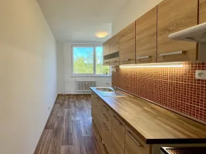 Pronájem bytu 1+1, Brno, Palackého třída, 39 m2