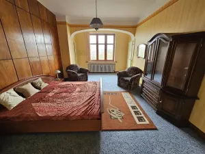 Pronájem bytu 4+1, Plzeň - Východní Předměstí, Americká, 152 m2