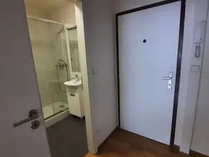 Prodej bytu 1+kk, Praha - Hodkovičky, Pod lysinami, 30 m2