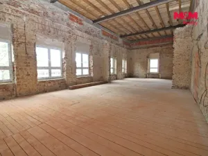 Pronájem výrobních prostor, Zákupy, Nové Zákupy, 800 m2