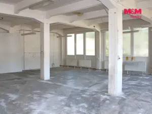 Pronájem výrobních prostor, Nová Paka, Kotíkova, 330 m2