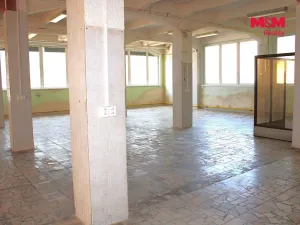 Pronájem obchodního prostoru, Nová Paka, Kotíkova, 330 m2