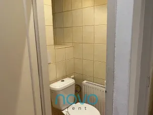Pronájem bytu 2+kk, Praha - Žižkov, Křišťanova, 53 m2