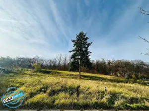 Prodej pozemku pro bydlení, Krnov, 1306 m2