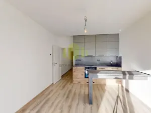 Pronájem bytu 1+kk, Olomouc, Frištenského, 32 m2