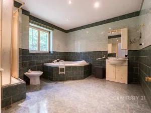 Prodej vícegeneračního domu, Lom, Podkrušnohorská, 273 m2