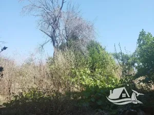 Prodej rodinného domu, Bjala, Bulharsko, 160 m2