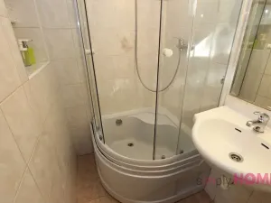 Pronájem bytu 1+1, Praha - Žižkov, Blahníkova, 40 m2