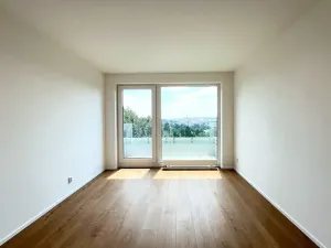Pronájem bytu 2+kk, Brno, třída Generála Píky, 75 m2