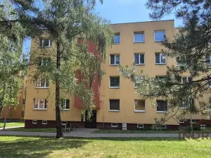 Prodej bytu 3+1, Nový Jičín, Dlouhá, 65 m2