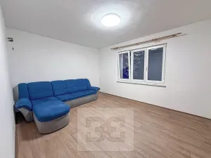Pronájem bytu 2+1, Ostrov, S. K. Neumanna, 56 m2