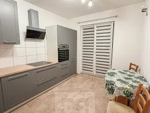 Pronájem bytu 2+1, Ostrov, S. K. Neumanna, 56 m2