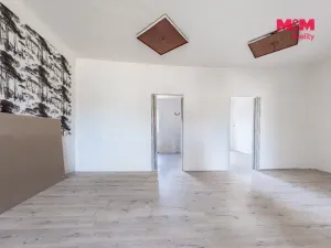 Prodej rodinného domu, Skršín - Dobrčice, 690 m2