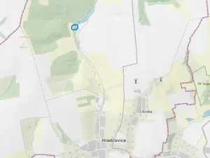 Prodej lesa, Hradčovice, 207 m2