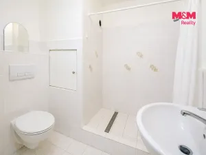 Pronájem bytu 2+kk, Liberec - Liberec XXV-Vesec, Holubova, 42 m2