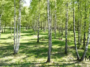 Prodej rodinného domu, Křižany, 470 m2