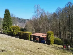 Prodej louky, Železný Brod, 4168 m2