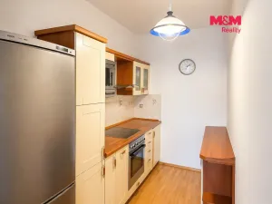 Pronájem bytu 1+kk, Praha - Podolí, Dvorecká, 50 m2