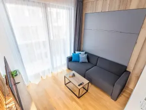 Pronájem bytu 1+kk, Praha - Žižkov, Seifertova, 31 m2