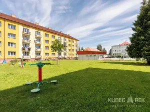 Prodej bytu 2+1, Sezimovo Ústí, Krátká, 46 m2
