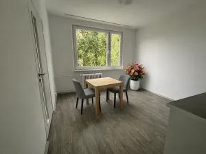 Pronájem bytu 1+1, Litvínov, Čapkova, 38 m2