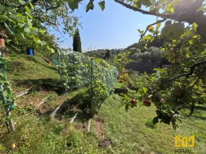 Prodej rodinného domu, Bělá pod Bezdězem, Táborová, 178 m2