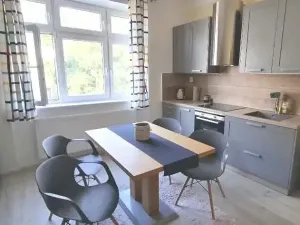 Pronájem bytu 2+1, Brno, Viniční, 70 m2