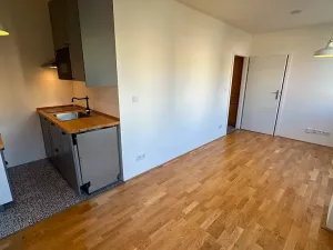 Pronájem bytu 2+kk, Praha - Vinohrady, Perucká, 40 m2