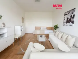 Prodej bytu 1+kk, Prostějov - Vrahovice, sídl. Svornosti, 30 m2