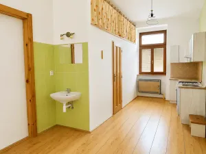 Pronájem bytu 1+1, Teplice, Jankovcova, 42 m2