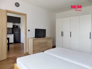 Pronájem bytu 1+1, Ústí nad Labem - Mojžíř, Peškova, 35 m2