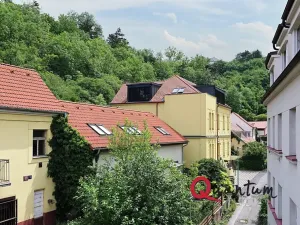 Pronájem bytu 1+1, Praha - Braník, Branická, 47 m2
