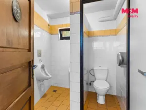 Prodej ubytování, Lomnice nad Popelkou, Poděbradova, 600 m2
