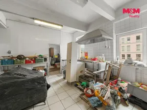 Prodej výrobních prostor, Děčín - Děčín VI-Letná, Dělnická, 1250 m2