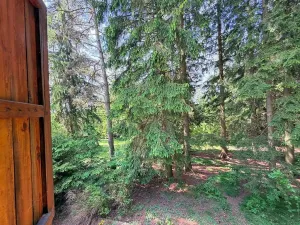Prodej chaty, Borová, 53 m2
