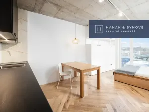 Pronájem bytu 1+kk, Brno, Chaloupkova, 29 m2