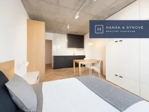 Pronájem bytu 1+kk, Brno, Chaloupkova, 29 m2