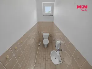 Prodej obchodního prostoru, Pardubice - Zelené Předměstí, Mikulovická, 330 m2